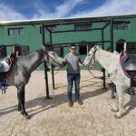 Tay kırmadan hipodroma: Atın serüveni