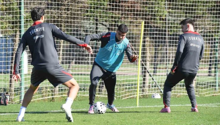 Ümit Milliler Litvanya yolcusu