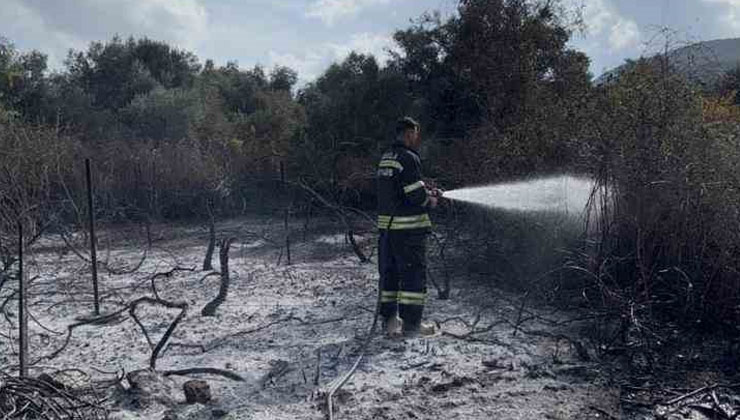 Üzüm bağları alevlere teslim oldu