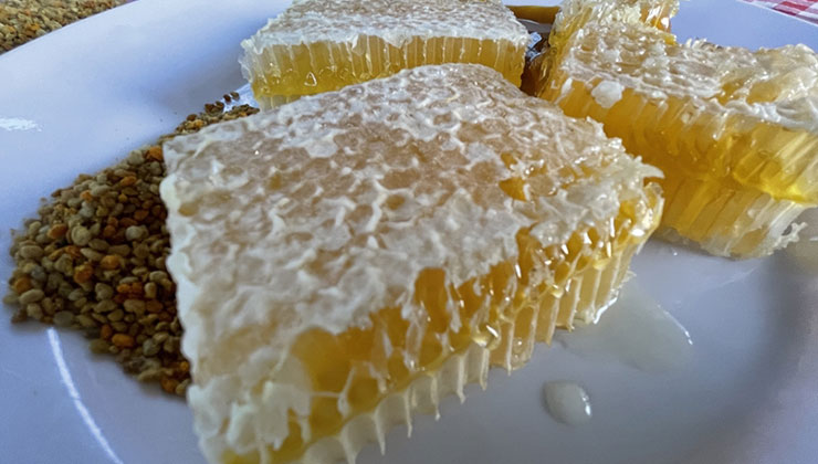 Yenice ıhlamur balı AB’den coğrafi işaret tescili aldı