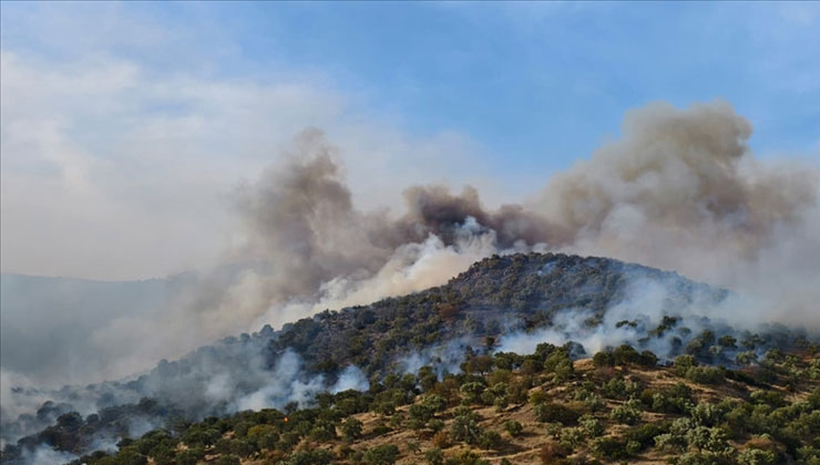 Ziraat alanında çıkan yangına müdahale ediliyor