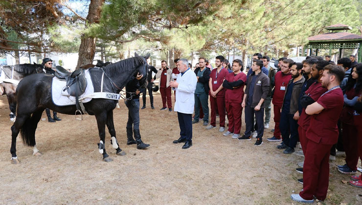 Atlı Polis Birliği’nin atlarına sağlık desteği