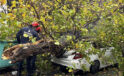 Beyoğlu’nda park halindeki aracın üzerine ağaç devrildi