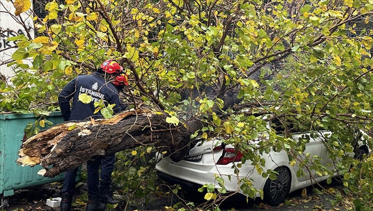 Beyoğlu’nda park halindeki aracın üzerine ağaç devrildi