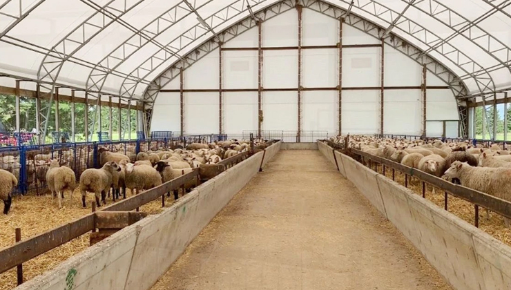 Beyşehir’de portatif çadır ağılları incelendi