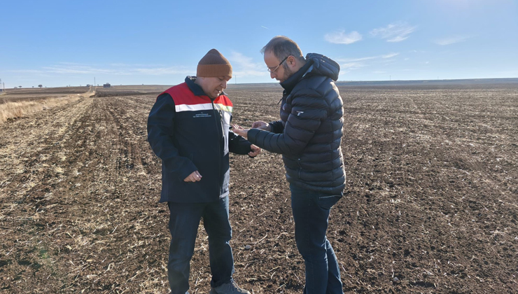 Beyşehir’de tarımsal üretim alanları denetlendi