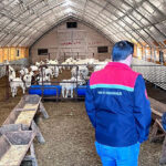 Bozkır’da çadır ağıllar üreticiye teslim edildi