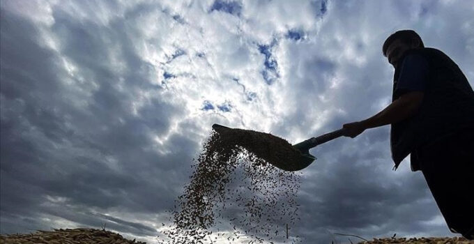 Çiftçilere yaklaşık 1,7 milyar lira tarımsal destekleme ödemesi bugün yapılacak