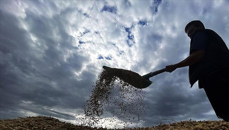 Çiftçilere yaklaşık 1,7 milyar lira tarımsal destekleme ödemesi bugün yapılacak