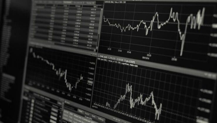 Fon yatırımında bu yıl gençler riski daha çok sevdi