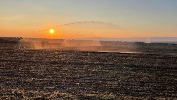 Konya Ovası’nda “iklim dostu” tarım modeli hayata geçiriliyor