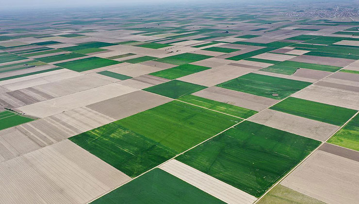 Konya tarımı desteklerle büyüyor