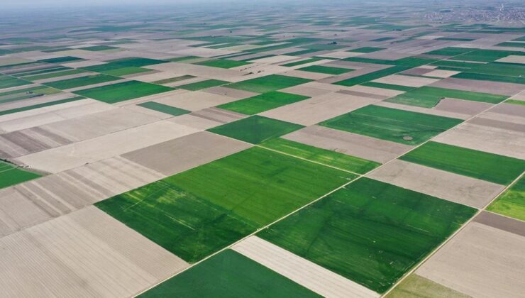Konya tarımı desteklerle güçleniyor