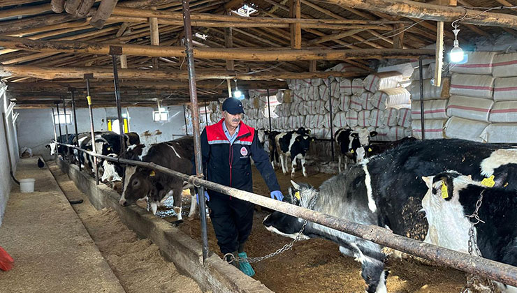 Konya ve ilçelerinde şap hastalığı ile mücadele sürüyor