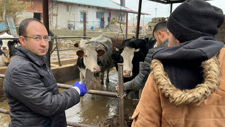 Konya’da hayvanları aşılama çalışmaları tüm hızıyla sürüyor