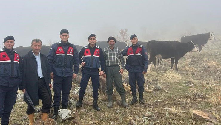 Konya’da hayvanları kaybolan kişinin imdadına jandarma yetişti