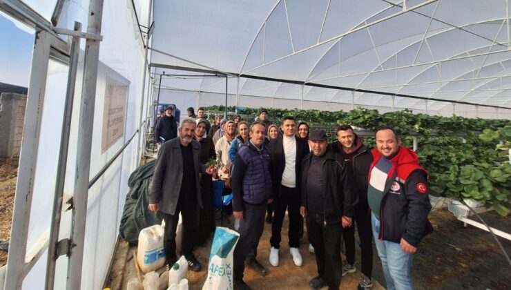 Konya’da örtüaltı sebze yetiştiriciliği yaygınlaşıyor