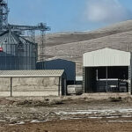 Konya’da TMO deposunda 500 milyonluk vurgun!