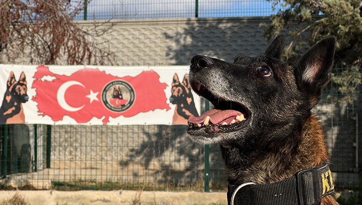 Konya’da uyuşturucu tacirlerinin ‘Bulamazlar’ dedikleri zulaları burunları ile patlatıyorlar