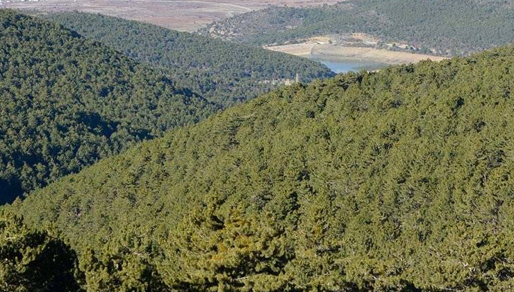 Konya’daki bazı alanlar orman sınırları dışına çıkarıldı