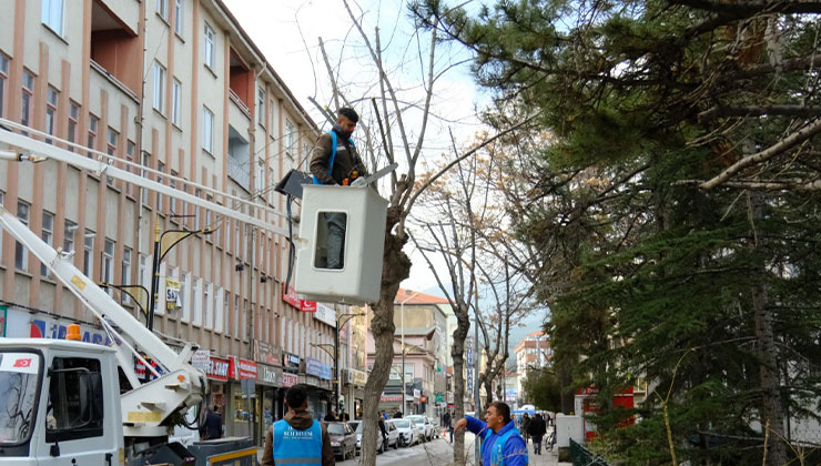 Konya’daki o belediye, mevsimsel budama çalışmalarına başladı
