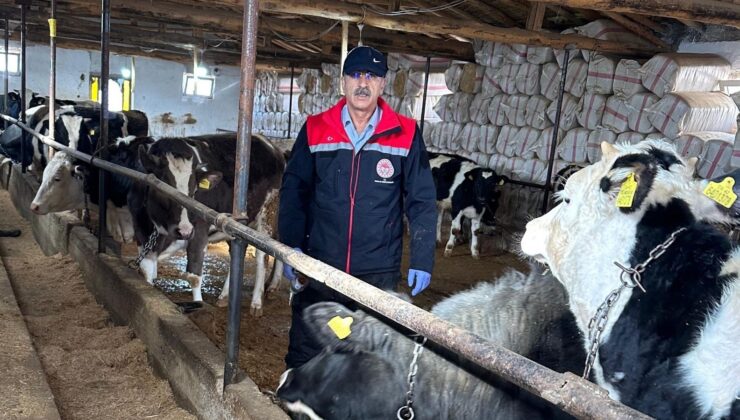 Konya’nın o ilçesinde hayvancılık faaliyetleri yakın takipte
