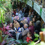 Konya’nın tarihi ve turistik mekanları, Mevlana’yı Anma Törenleri’nde yaklaşık 120 bin kişiyi ağırladı