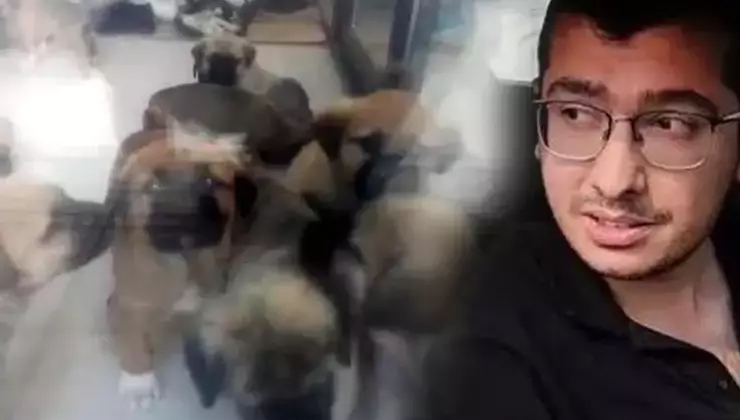 Köpeklere cinsel istismarda bulunup, öldüren doktorun cezası belli oldu!