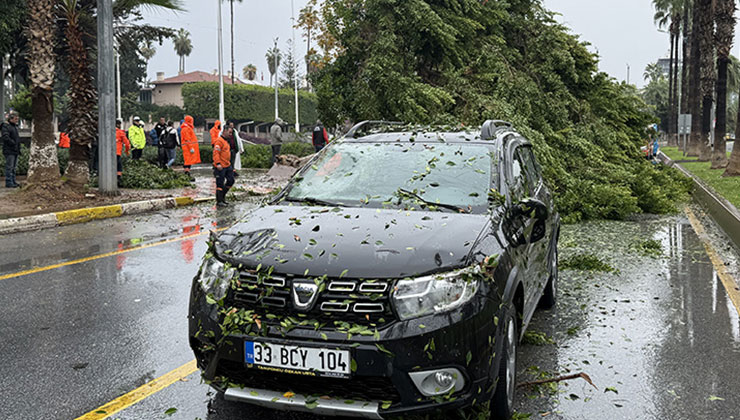 Mersin’de rüzgarın etkisiyle devrilen ağaç seyir halindeki 3 araca zarar verdi