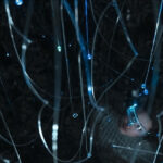 Milli Teknoloji Hamlesi: Türkiye dijital altyapısını nasıl güçlendiriyor?