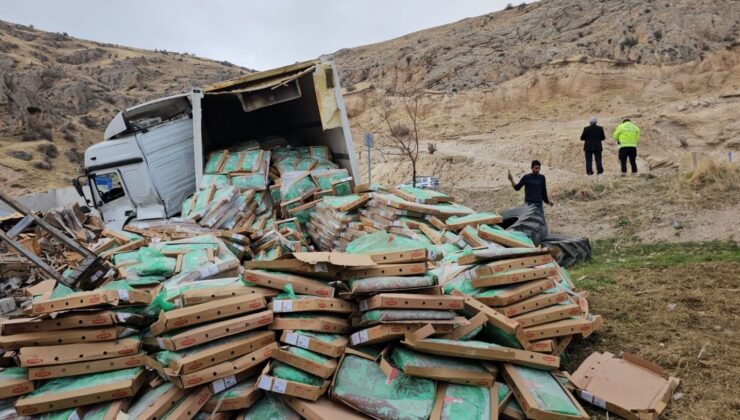Tavuk eti yüklü tır kaza yaptı: Sürücü yaralandı, tavuklar çevreye dağıldı