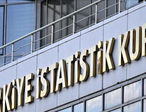 TÜİK, “Teknogirişim Araştırması, 2024” bültenini yarın yayımlayacak