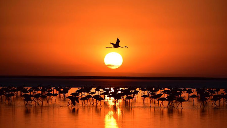 Tuz Gölü’nde gün batımı kızıl tonlarıyla görsel şölen oluşturdu