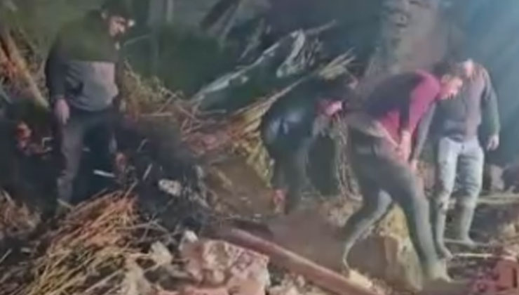 Aksaray’da mandıra çöktü, çok sayıda hayvan telef oldu