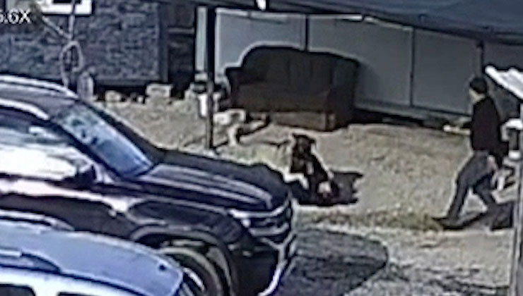 Antalya’da beslediği köpeğin saldırısına uğrayan kişi yaralandı