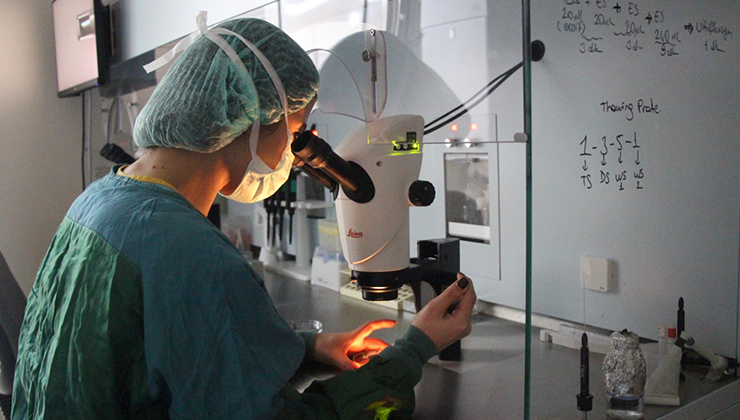 Başkent Konya Hastanesi tüp bebekte model oldu