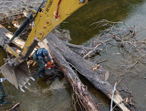 Belediye ekipleri fırtına nedeniyle seferber oldu