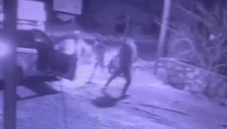 Bodrum’da akrabalar birbirine girdi: 1 tutuklama