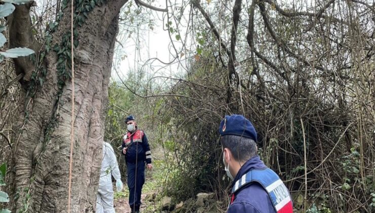 Çalılıklarda cesedi bulundu