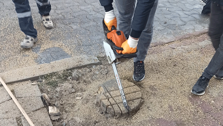 “Cihanbeyli için çalışıyoruz”