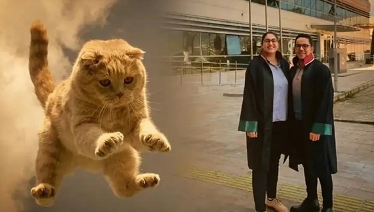 Hastanede üzerine ‘kedi’ düşen kadına 50 bin lira tazminat kararı