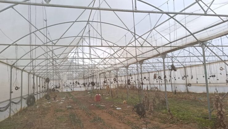 İlçelerde hasar tespit çalışması yapılıyor