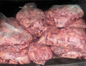 Jandarmanın durdurduğu araçtan 450 kilo bozulmuş et çıktı