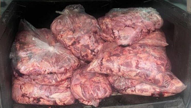 Jandarmanın durdurduğu araçtan 450 kilo bozulmuş et çıktı
