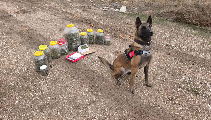 Karaman’da uyuşturucu operasyonu: 1 gözaltı