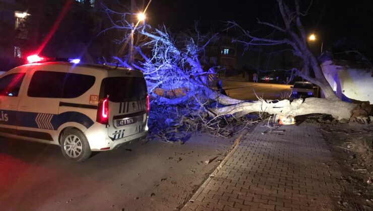 Konya Ereğli’de ağaçlar devrildi, çatılar uçtu