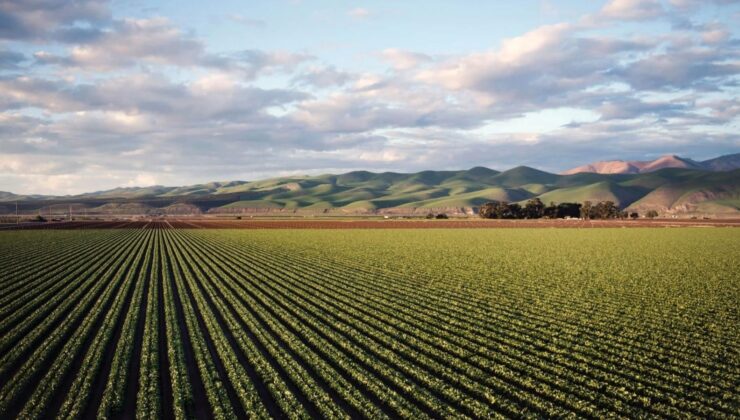 Konya tarımda Türkiye birincisi!