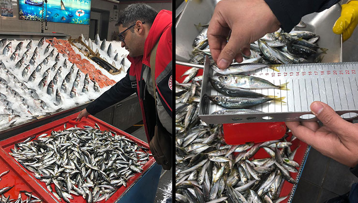 Konya’da balık boy limiti denetimleri devam ediyor