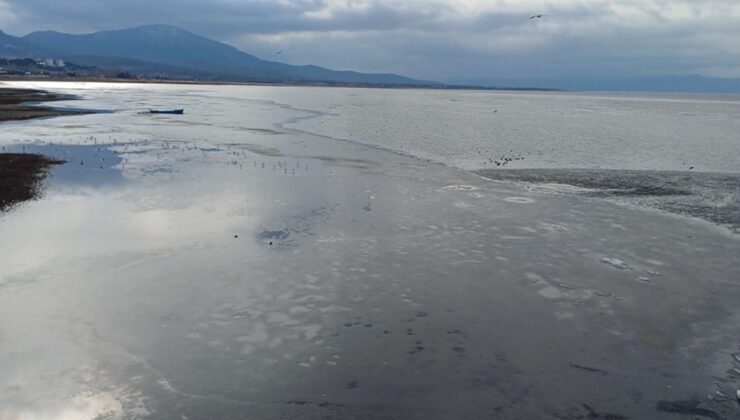 Konya’da nilüferlerin dans ettiği göl, buz tuttu