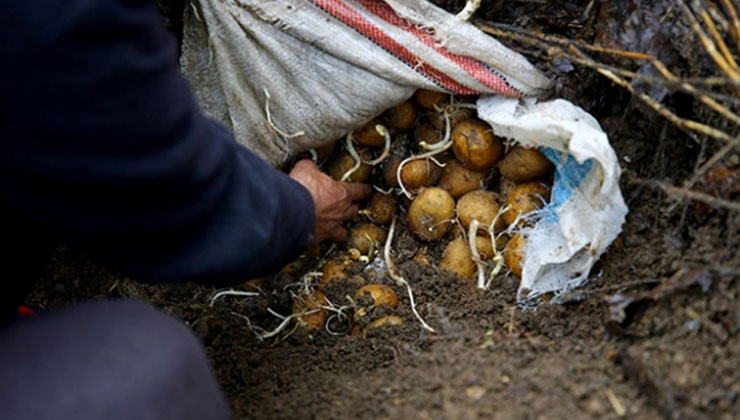 Konya’da sebzeler bu yolla taze tutuluyor